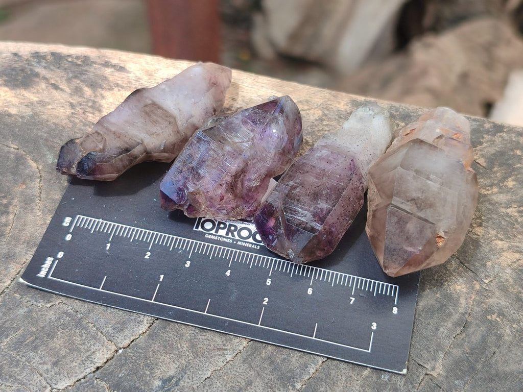 Natural Skeletal, Sceptre and Window Amethyst Crystals x 24 From Chiredzi, Zimbabwe - Toprock Gemstones and Minerals 