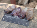 Natural Skeletal, Sceptre and Window Amethyst Crystals x 24 From Chiredzi, Zimbabwe - Toprock Gemstones and Minerals 