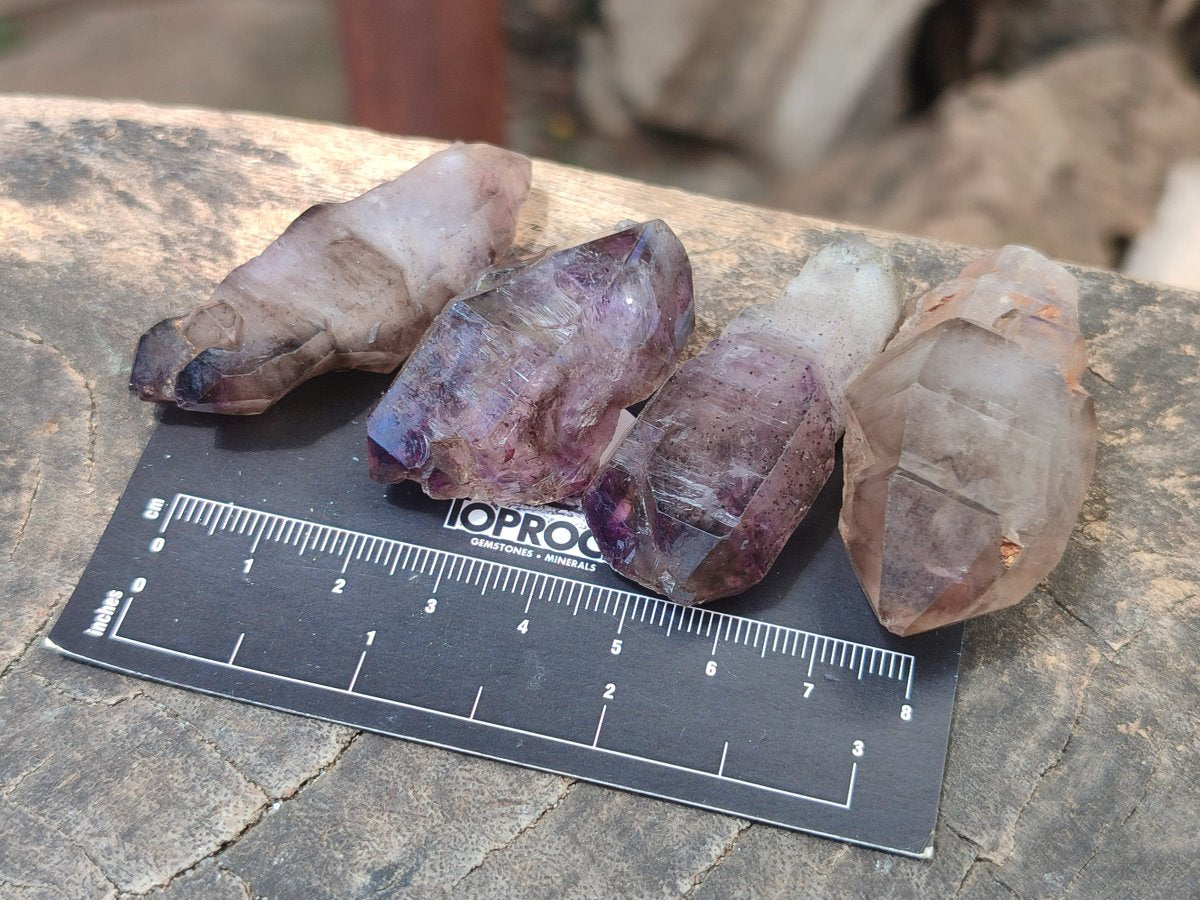 Natural Skeletal, Sceptre and Window Amethyst Crystals x 24 From Chiredzi, Zimbabwe - Toprock Gemstones and Minerals 