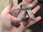 Natural Skeletal, Sceptre and Window Amethyst Crystals x 24 From Chiredzi, Zimbabwe - Toprock Gemstones and Minerals 