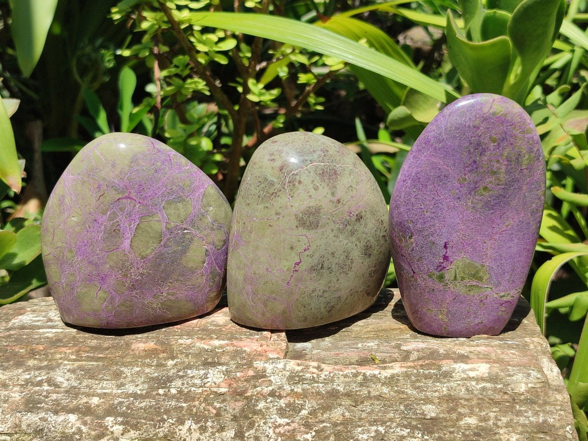 Polished Stichtite Standing Free Forms x 6 From Barberton, South Africa - Toprock Gemstones and Minerals 