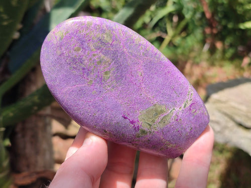 Polished Stichtite Standing Free Forms x 6 From Barberton, South Africa