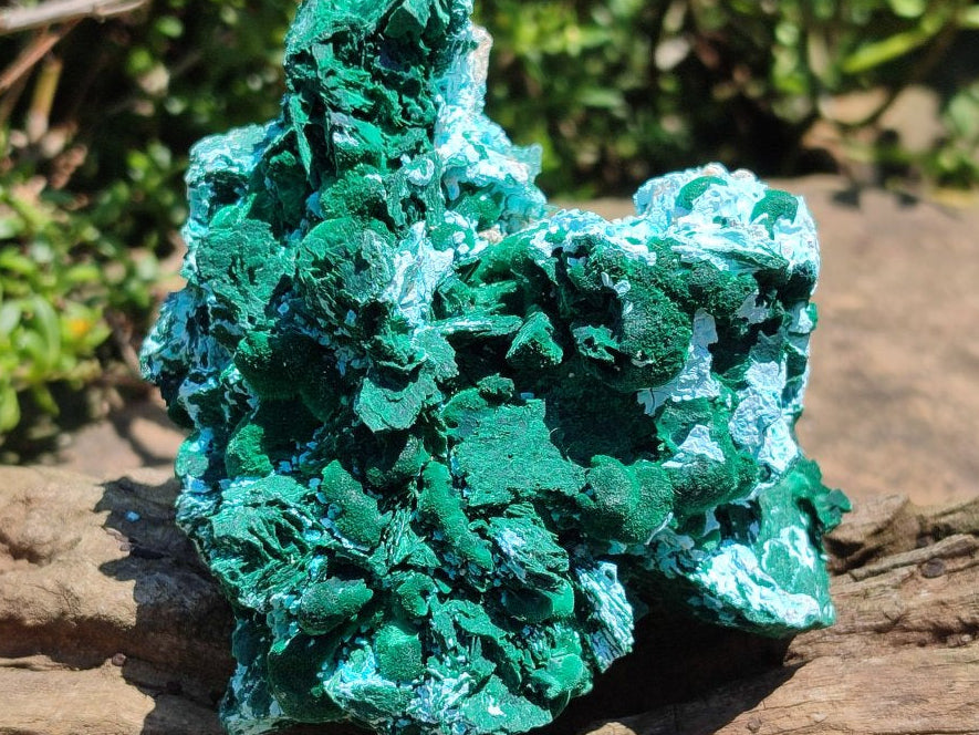 Natural Large Rare Malachite Pseudomorph after Azurite Specimen x 1 From Kolwezi, Congo - Toprock Gemstones and Minerals 
