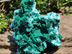 Natural Large Rare Malachite Pseudomorph after Azurite Specimen x 1 From Kolwezi, Congo - Toprock Gemstones and Minerals 