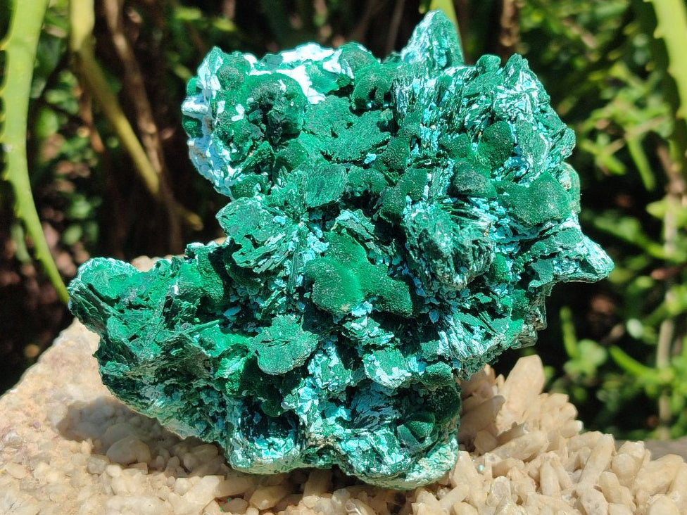 Natural Large Rare Malachite Pseudomorph after Azurite Specimen x 1 From Kolwezi, Congo - Toprock Gemstones and Minerals 