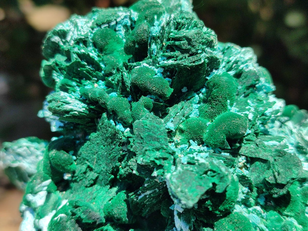 Natural Large Rare Malachite Pseudomorph after Azurite Specimen x 1 From Kolwezi, Congo - Toprock Gemstones and Minerals 