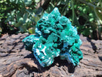 Natural Large Rare Malachite Pseudomorph after Azurite Specimen x 1 From Kolwezi, Congo - Toprock Gemstones and Minerals 
