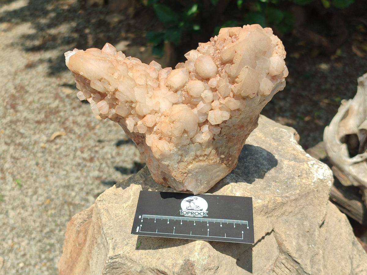 Natural Cascading Candle Quartz Crystals x 2 From Antsirabe, Madagascar - Toprock Gemstones and Minerals 