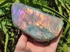 Polished Rare Purple Sunset Flash Labradorite Standing Free Form x 2 From Madagascar - Toprock Gemstones and Minerals 