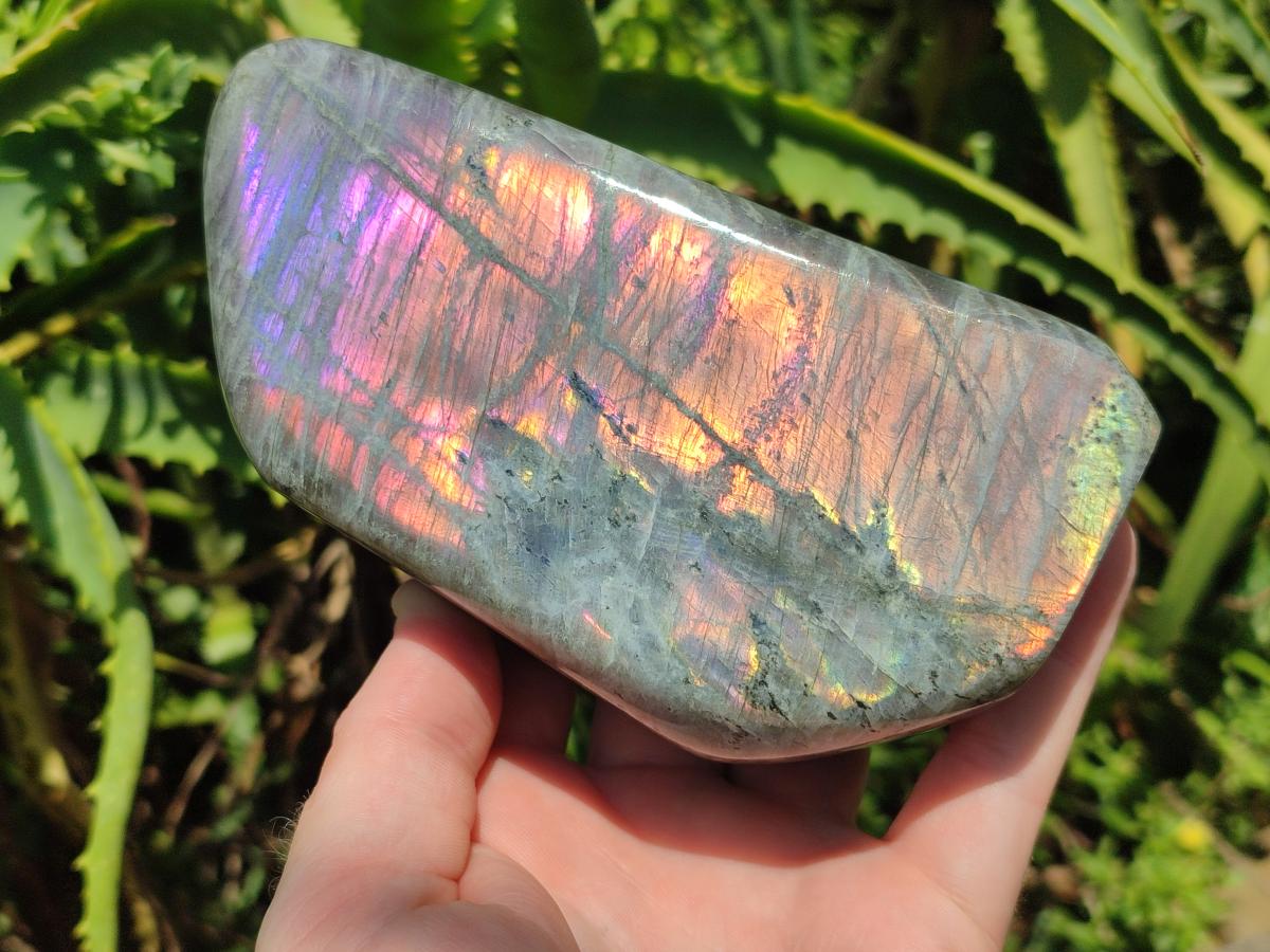 Polished Rare Purple Sunset Flash Labradorite Standing Free Form x 2 From Madagascar - Toprock Gemstones and Minerals 