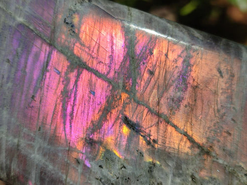 Polished Rare Purple Sunset Flash Labradorite Standing Free Form x 2 From Madagascar - Toprock Gemstones and Minerals 