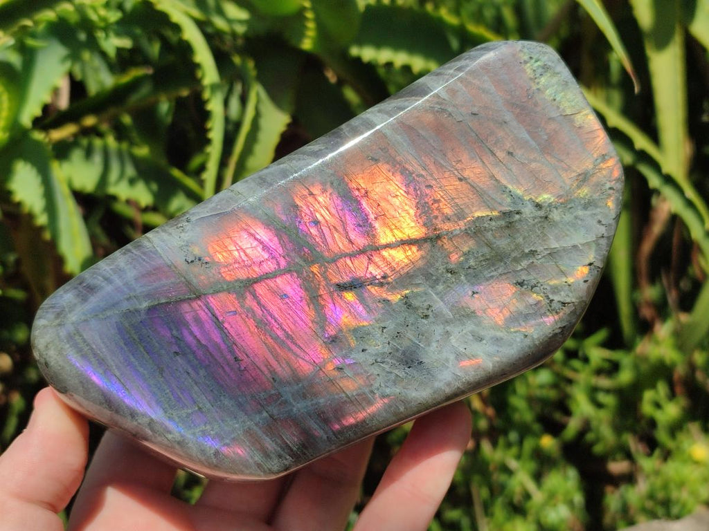 Polished Rare Purple Sunset Flash Labradorite Standing Free Form x 2 From Madagascar - Toprock Gemstones and Minerals 