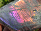 Polished Rare Purple Sunset Flash Labradorite Standing Free Form x 2 From Madagascar - Toprock Gemstones and Minerals 