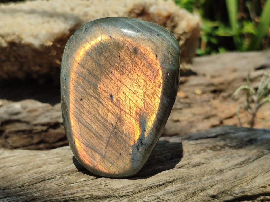 Polished Rare Purple Sunset Flash Labradorite Standing Free Form x 2 From Madagascar - Toprock Gemstones and Minerals 