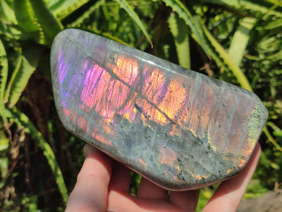 Polished Rare Purple Sunset Flash Labradorite Standing Free Form x 2 From Madagascar - Toprock Gemstones and Minerals 