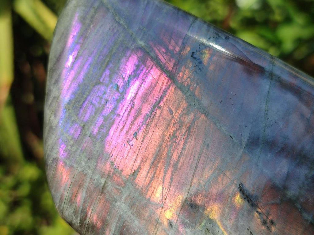 Polished Rare Purple Sunset Flash Labradorite Standing Free Form x 2 From Madagascar - Toprock Gemstones and Minerals 