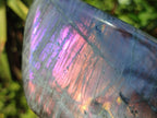 Polished Rare Purple Sunset Flash Labradorite Standing Free Form x 2 From Madagascar - Toprock Gemstones and Minerals 