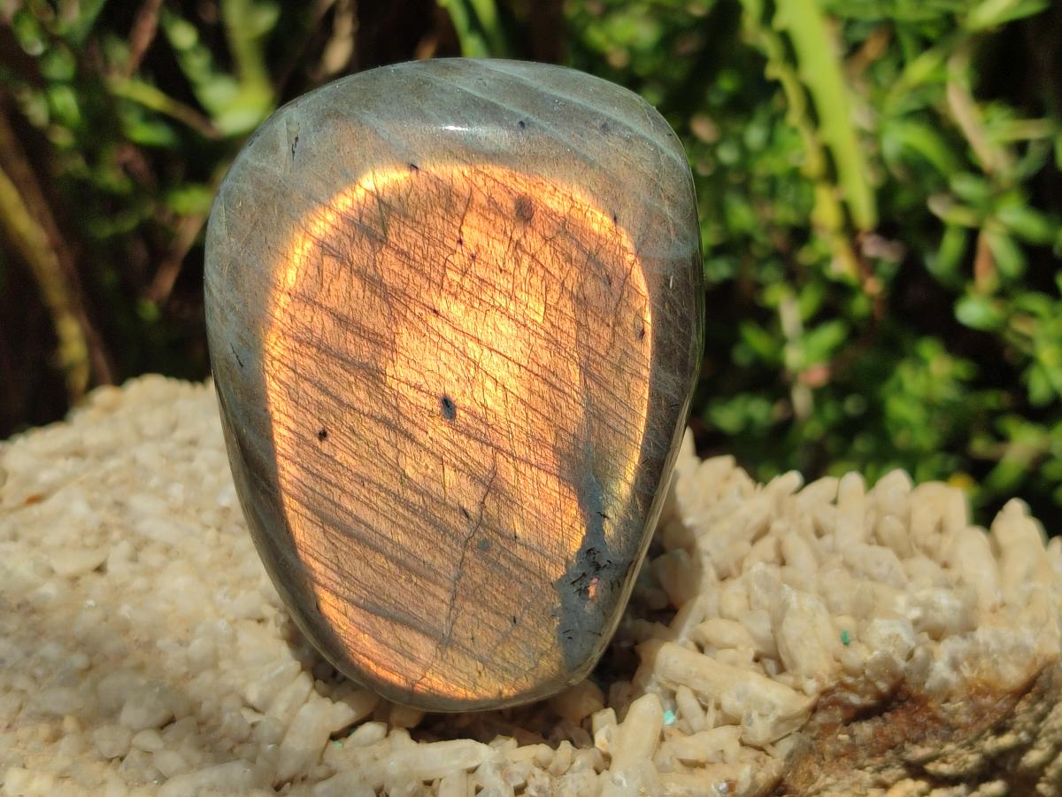 Polished Rare Purple Sunset Flash Labradorite Standing Free Form x 2 From Madagascar - Toprock Gemstones and Minerals 