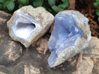 Natural Blue Lace Agate Clusters Specimens x 12 From Nsanje, Malawi - Toprock Gemstones and Minerals 