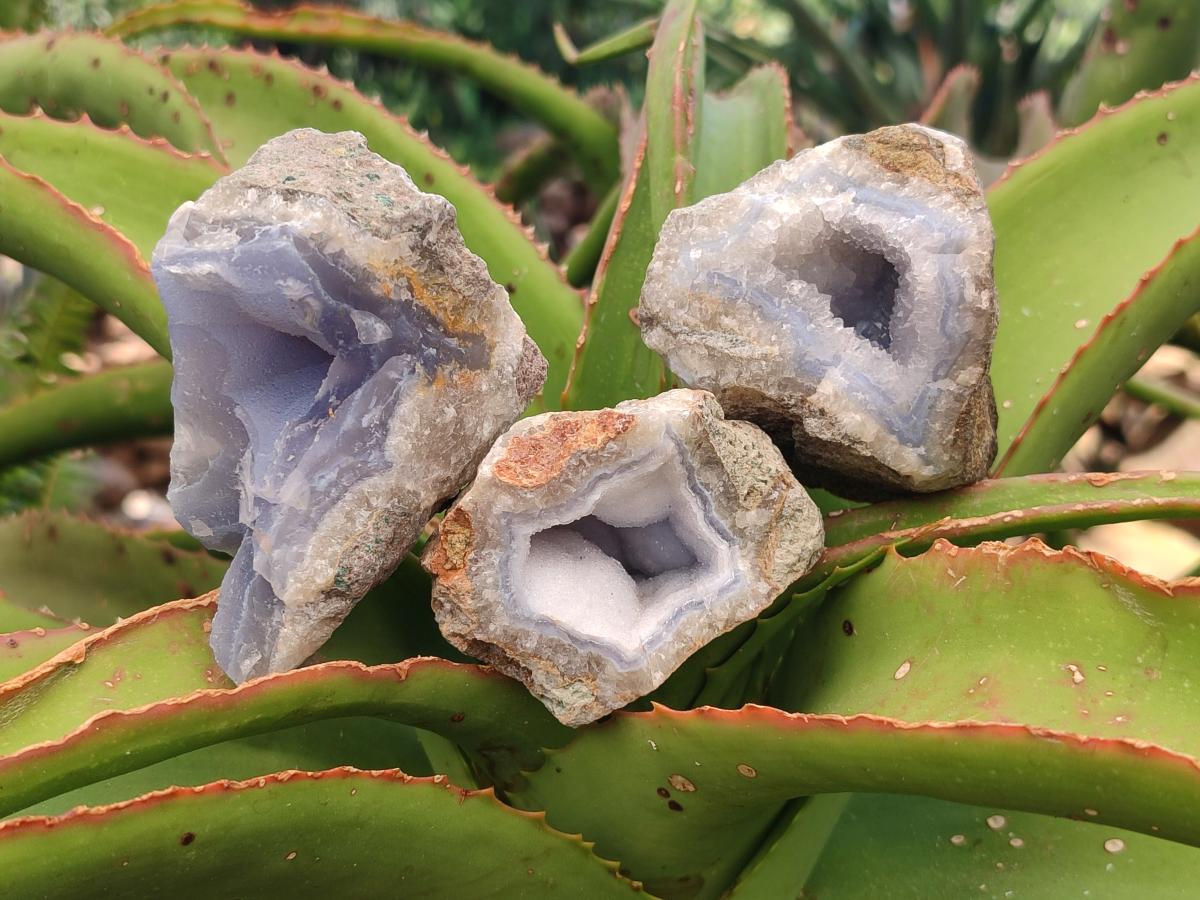 Natural Blue Lace Agate Clusters Specimens x 12 From Nsanje, Malawi - Toprock Gemstones and Minerals 