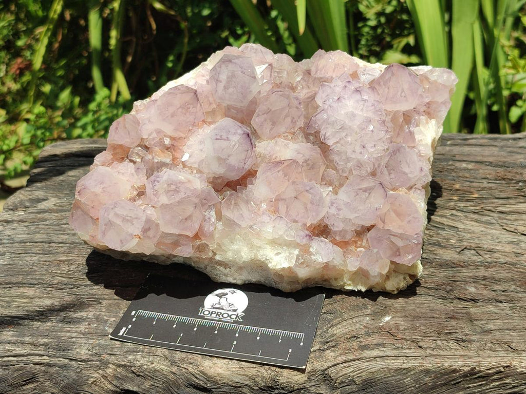Natural Large Amethyst Spirit Cluster x 1 From Boekenhouthoek, South Africa - Toprock Gemstones and Minerals 