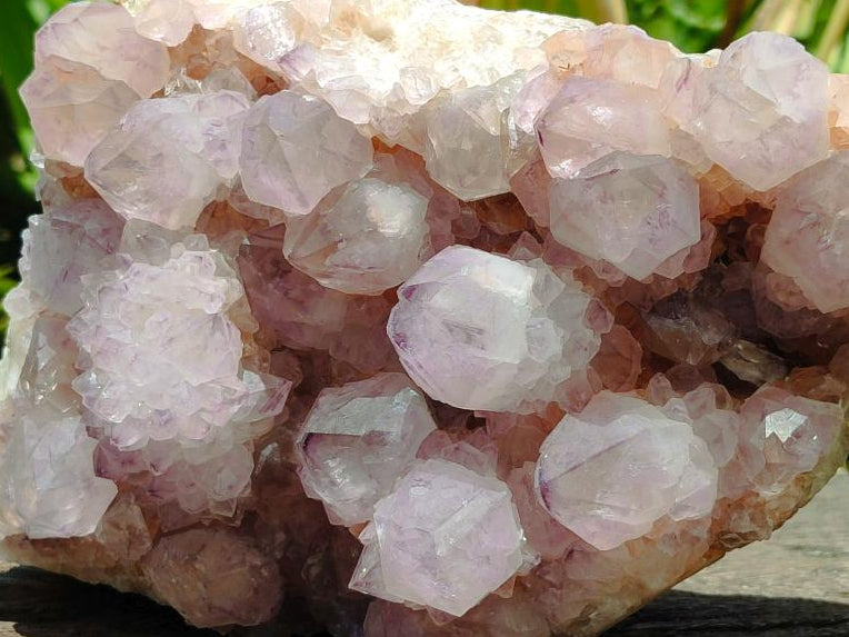 Natural Large Amethyst Spirit Cluster x 1 From Boekenhouthoek, South Africa - Toprock Gemstones and Minerals 