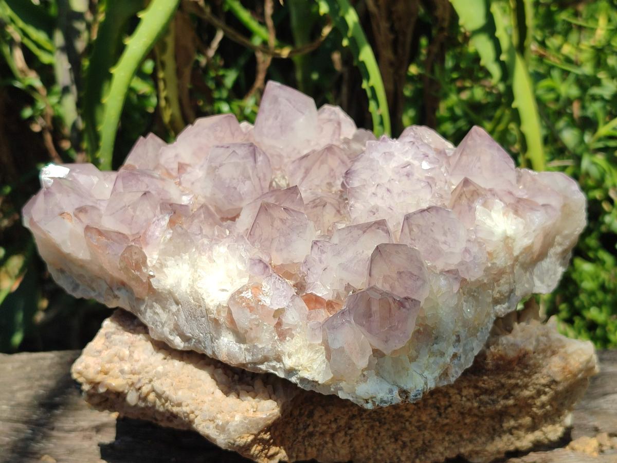 Natural Large Amethyst Spirit Cluster x 1 From Boekenhouthoek, South Africa - Toprock Gemstones and Minerals 