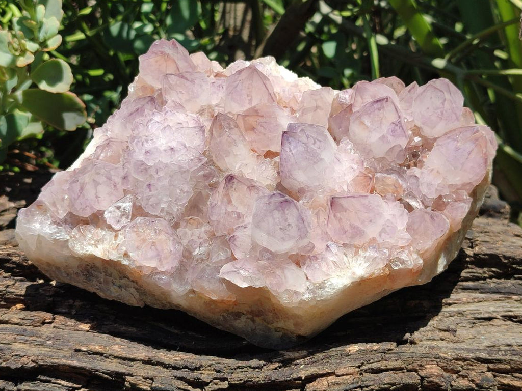 Natural Large Amethyst Spirit Cluster x 1 From Boekenhouthoek, South Africa - Toprock Gemstones and Minerals 