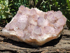 Natural Large Amethyst Spirit Cluster x 1 From Boekenhouthoek, South Africa - Toprock Gemstones and Minerals 