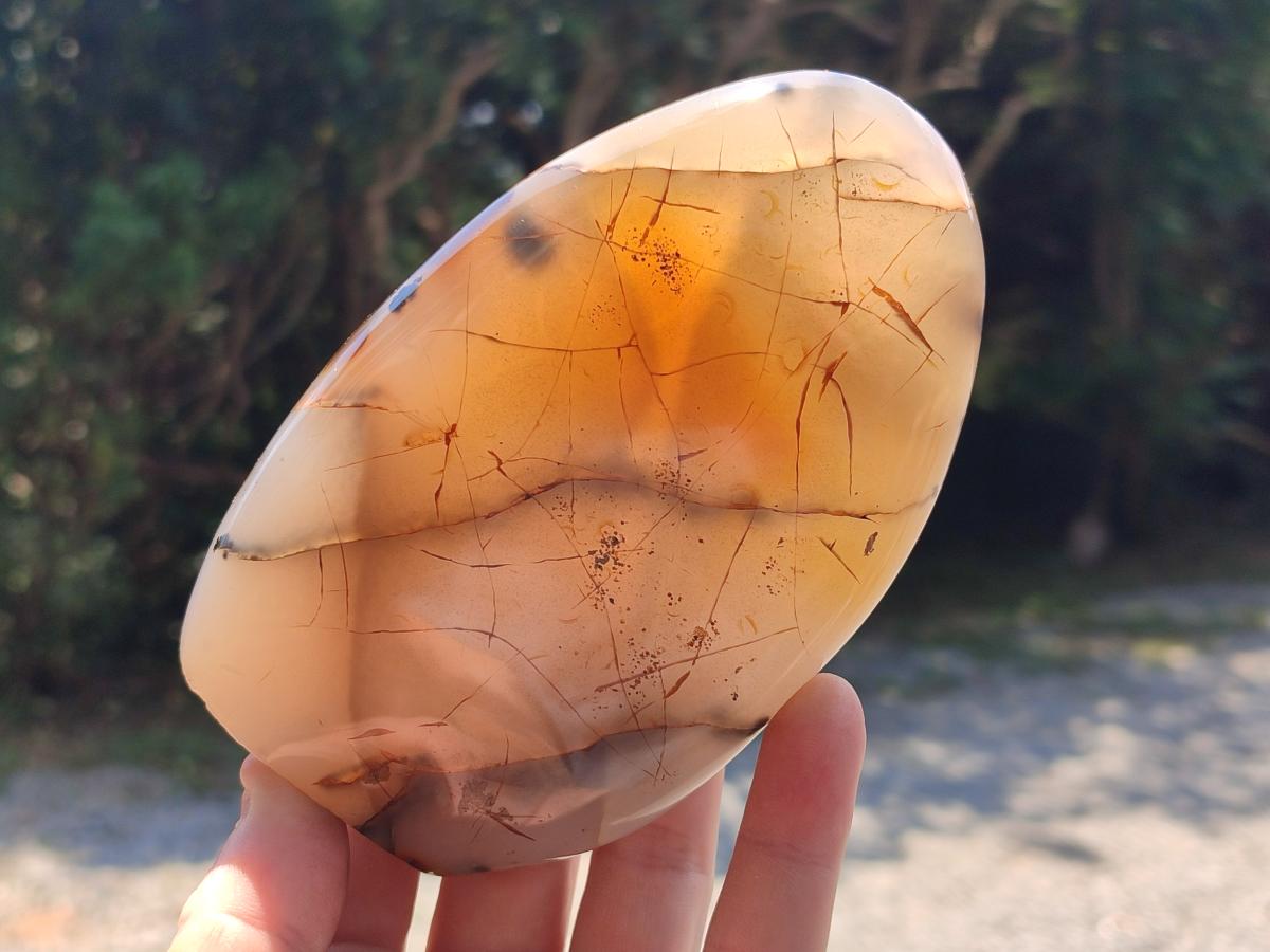 Polished Dendritic Agate Standing Free Forms x 3 From Moralambo, Madagascar - Toprock Gemstones and Minerals 