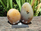 Polished Dendritic Agate Standing Free Forms x 3 From Moralambo, Madagascar - Toprock Gemstones and Minerals 