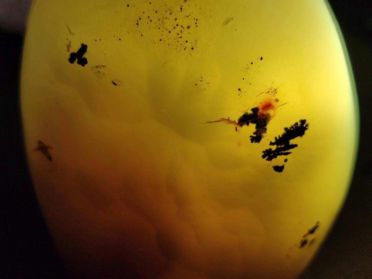 Polished Dendritic Agate Standing Free Forms x 3 From Moralambo, Madagascar - Toprock Gemstones and Minerals 