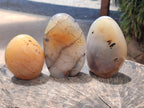Polished Dendritic Agate Standing Free Forms x 3 From Moralambo, Madagascar - Toprock Gemstones and Minerals 