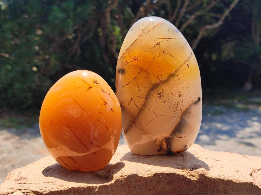 Polished Dendritic Agate Standing Free Forms x 3 From Moralambo, Madagascar - Toprock Gemstones and Minerals 