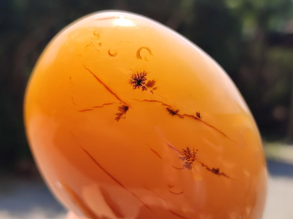 Polished Dendritic Agate Standing Free Forms x 3 From Moralambo, Madagascar - Toprock Gemstones and Minerals 
