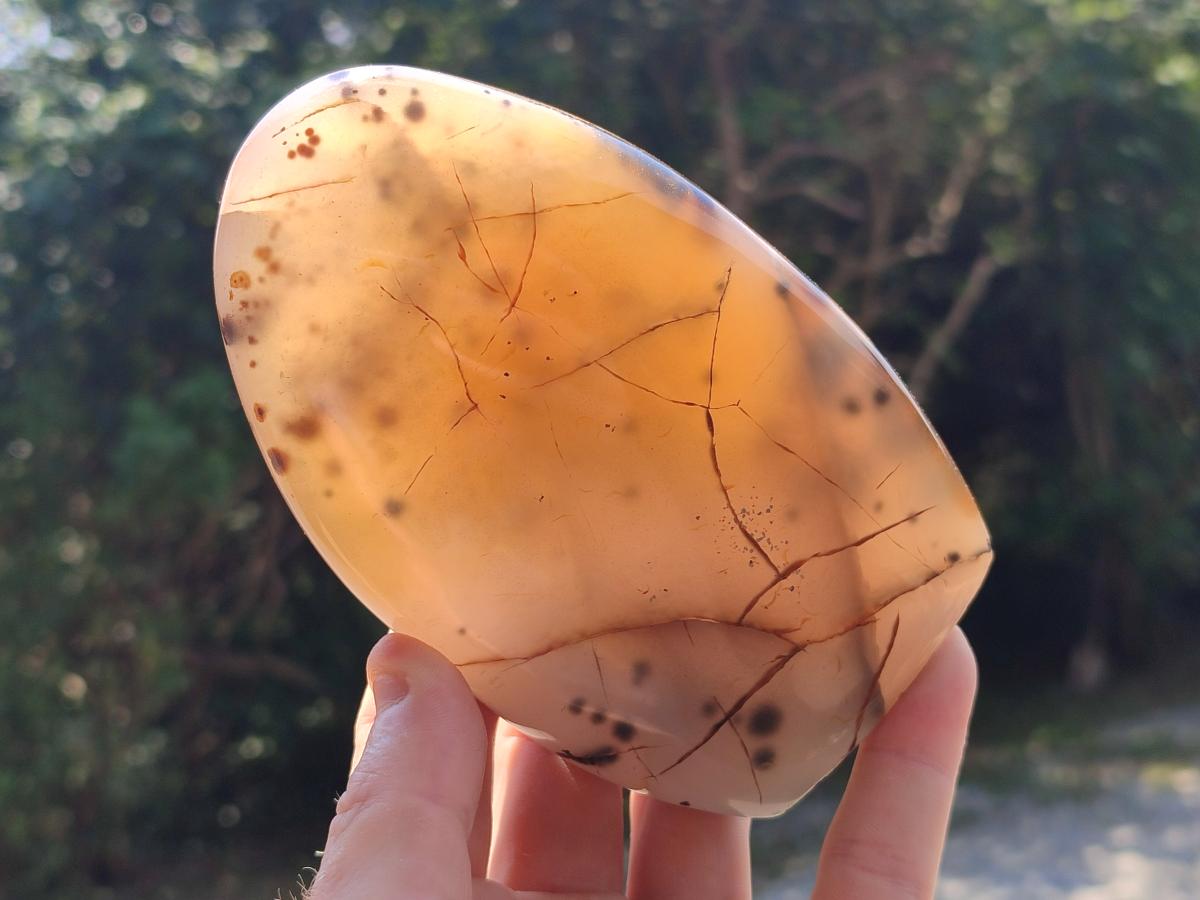 Polished Dendritic Agate Standing Free Forms x 3 From Moralambo, Madagascar - Toprock Gemstones and Minerals 