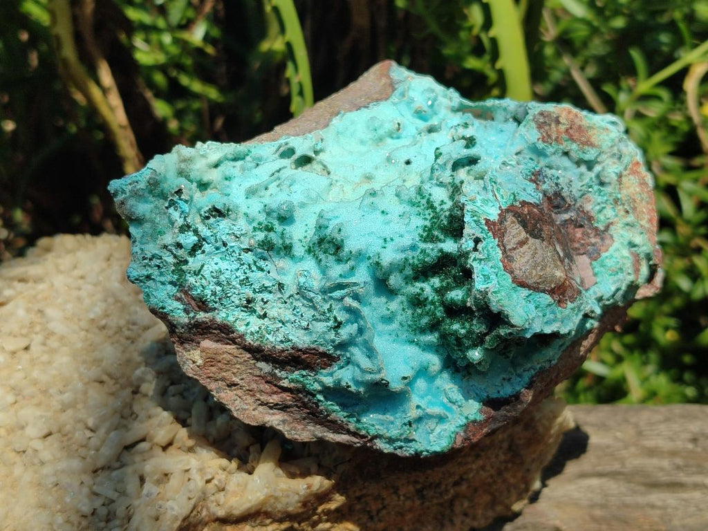 Natural Large Drusy Coated Chrysocolla with Malachite Specimen x 1 From Lupoto Mine, Congo - Toprock Gemstones and Minerals 