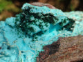 Natural Large Drusy Coated Chrysocolla with Malachite Specimen x 1 From Lupoto Mine, Congo - Toprock Gemstones and Minerals 