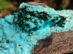 Natural Large Drusy Coated Chrysocolla with Malachite Specimen x 1 From Lupoto Mine, Congo - Toprock Gemstones and Minerals 