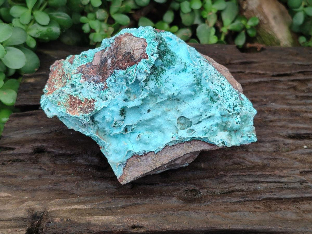 Natural Large Drusy Coated Chrysocolla with Malachite Specimen x 1 From Lupoto Mine, Congo - Toprock Gemstones and Minerals 