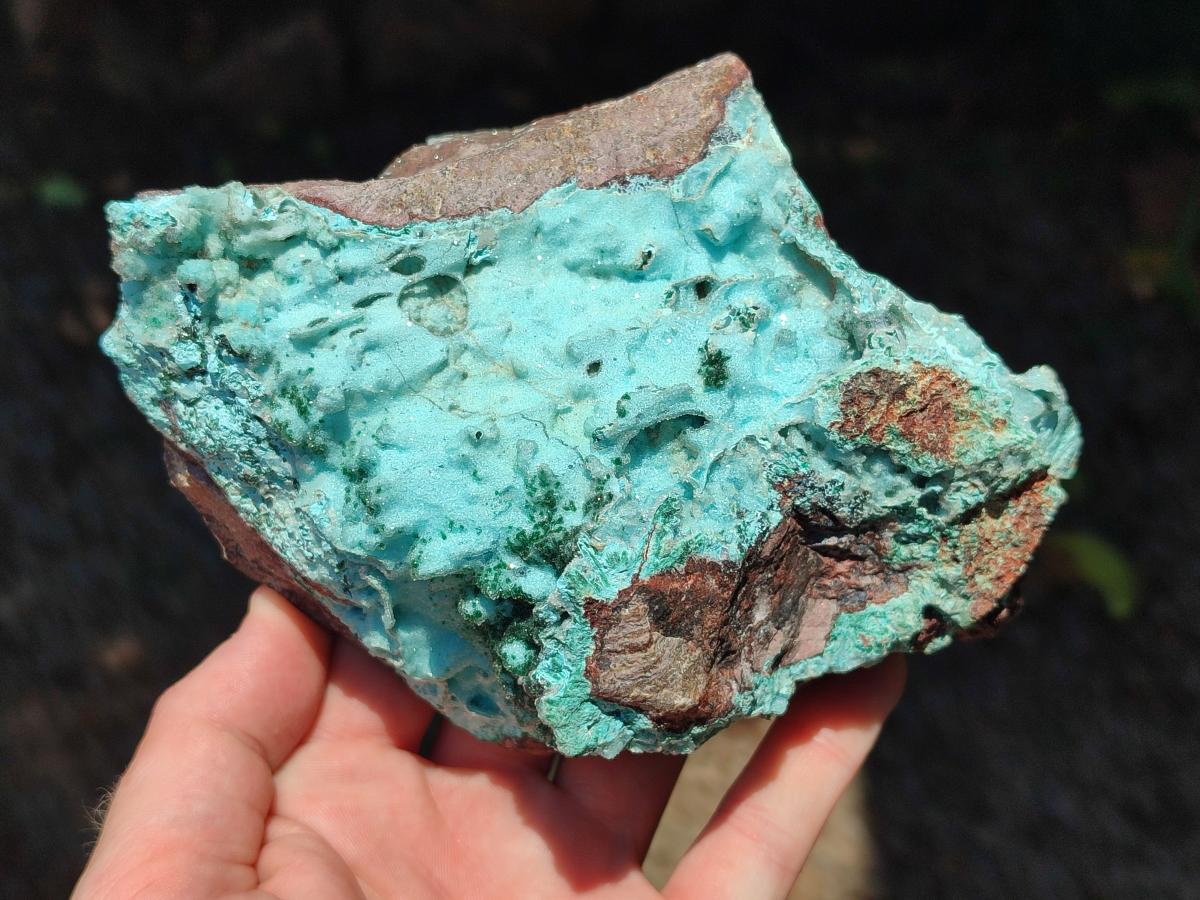 Natural Large Drusy Coated Chrysocolla with Malachite Specimen x 1 From Lupoto Mine, Congo - Toprock Gemstones and Minerals 