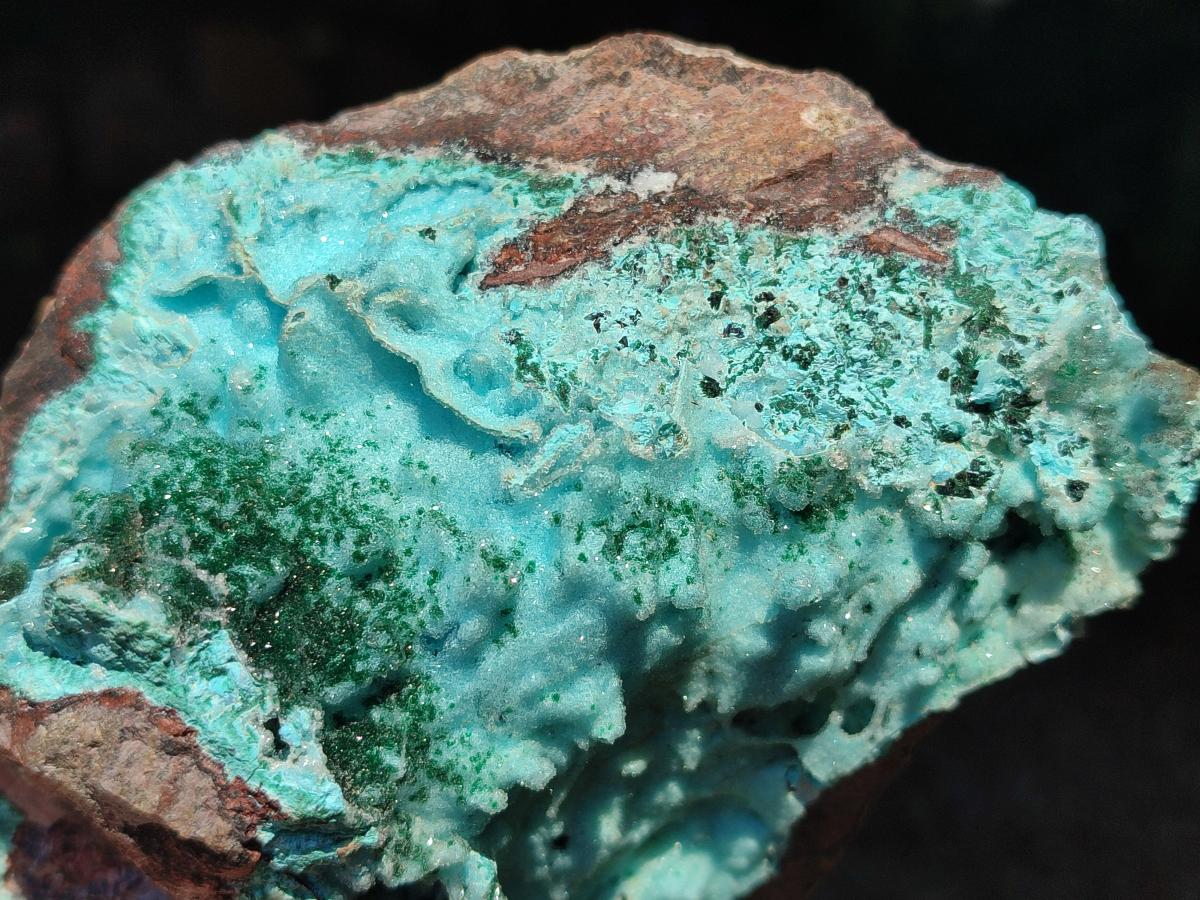 Natural Large Drusy Coated Chrysocolla with Malachite Specimen x 1 From Lupoto Mine, Congo - Toprock Gemstones and Minerals 