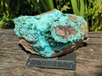 Natural Large Drusy Coated Chrysocolla with Malachite Specimen x 1 From Lupoto Mine, Congo - Toprock Gemstones and Minerals 