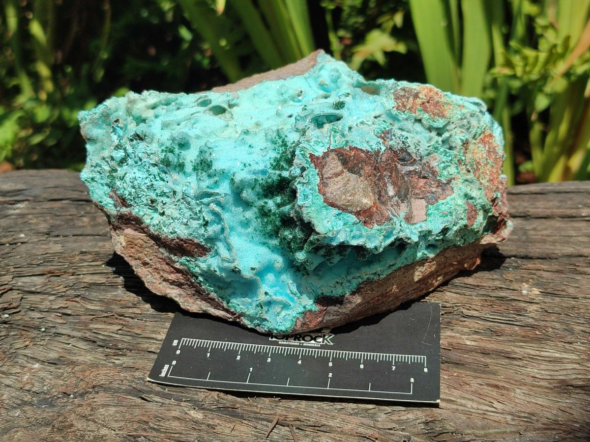 Natural Large Drusy Coated Chrysocolla with Malachite Specimen x 1 From Lupoto Mine, Congo - Toprock Gemstones and Minerals 