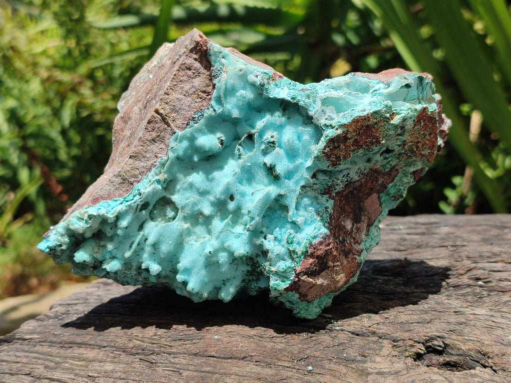 Natural Large Drusy Coated Chrysocolla with Malachite Specimen x 1 From Lupoto Mine, Congo - Toprock Gemstones and Minerals 
