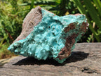 Natural Large Drusy Coated Chrysocolla with Malachite Specimen x 1 From Lupoto Mine, Congo - Toprock Gemstones and Minerals 