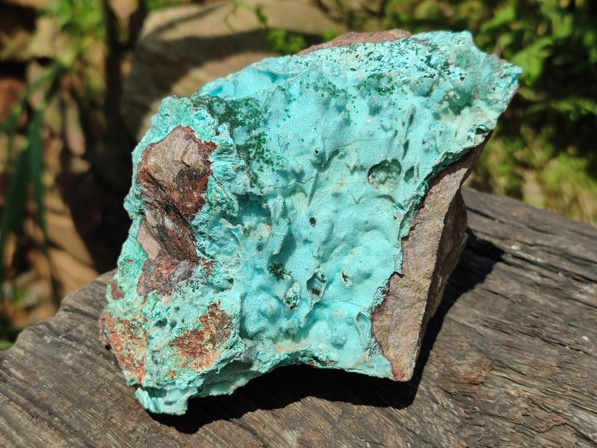 Natural Large Drusy Coated Chrysocolla with Malachite Specimen x 1 From Lupoto Mine, Congo - Toprock Gemstones and Minerals 