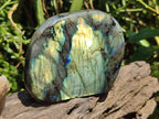 Polished Labradorite Standing Free Forms x 3 From Madagascar - Toprock Gemstones and Minerals 