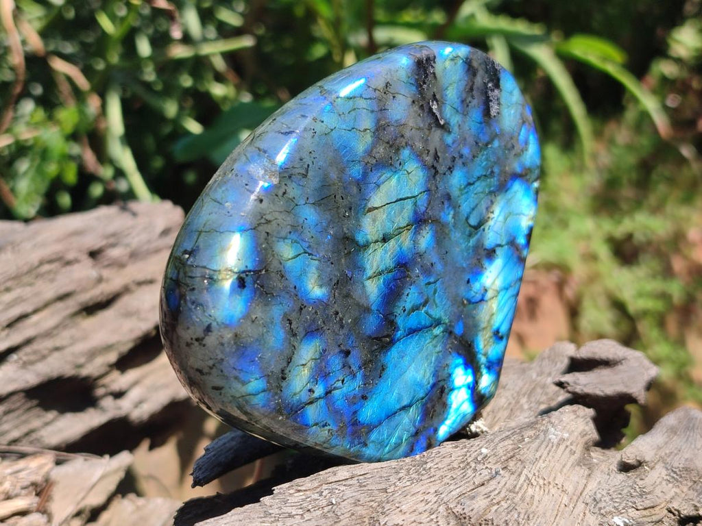 Polished Labradorite Standing Free Forms x 3 From Madagascar - Toprock Gemstones and Minerals 