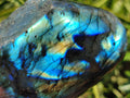 Polished Labradorite Standing Free Forms x 3 From Madagascar - Toprock Gemstones and Minerals 